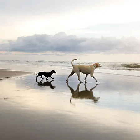 Lens Lookout - Seaview And Balcony - Part Of The The Bay Village With Pool, Gym And Direct Access, Pub, Restaurant, Tennis And Meadows Walks Filey